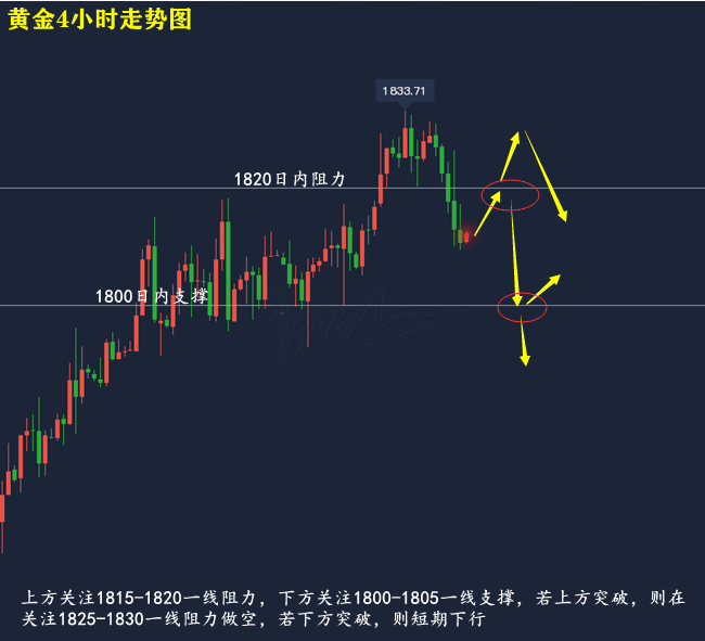 快评 第66页